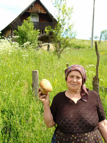 Foto anticriza sezoniera (c) Petru Goja